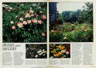 Better Homes & Gardens August 1984 Magazine Article: Page 58