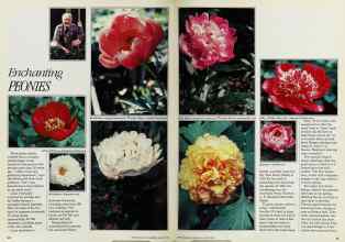 Better Homes & Gardens August 1984 Magazine Article: Page 60
