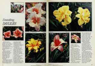 Better Homes & Gardens August 1984 Magazine Article: Page 62