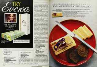 Better Homes & Gardens August 1984 Magazine Article: Page 90