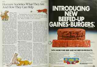 Better Homes & Gardens August 1984 Magazine Article: Page 128