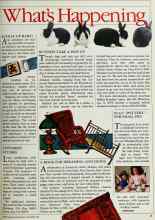 Better Homes & Gardens September 1984 Magazine Article: BUNNIES TAKE A HOP UP