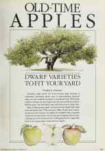 Better Homes & Gardens September 1984 Magazine Article: DWARF VARIETIES TO FIT YOUR YARD
