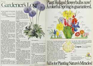 Better Homes & Gardens September 1984 Magazine Article: Page 90