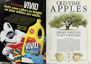 Better Homes & Gardens September 1984 Magazine Article: Page 102