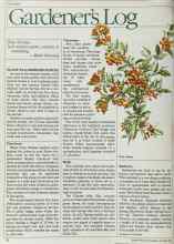Better Homes & Gardens October 1984 Magazine Article: Gardener's Log