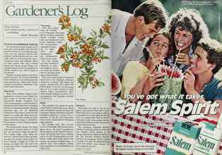 Better Homes & Gardens October 1984 Magazine Article: Page 32