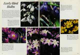 Better Homes & Gardens October 1984 Magazine Article: Page 128