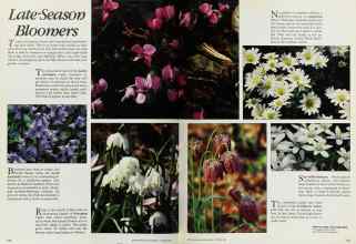 Better Homes & Gardens October 1984 Magazine Article: Page 130