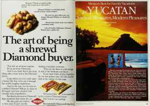 Better Homes & Gardens October 1984 Magazine Article: Page 222