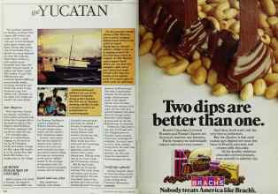 Better Homes & Gardens October 1984 Magazine Article: Page 226