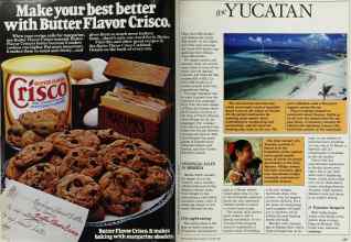 Better Homes & Gardens October 1984 Magazine Article: Page 228