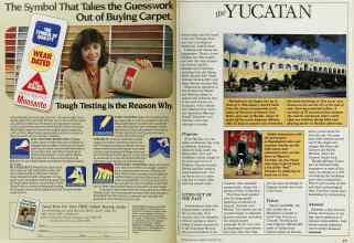 Better Homes & Gardens October 1984 Magazine Article: Page 230