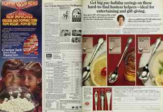 Better Homes & Gardens October 1984 Magazine Article: Page 234