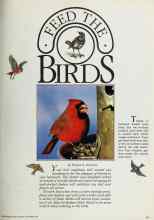 Better Homes & Gardens November 1984 Magazine Article: FEED THE BIRDS