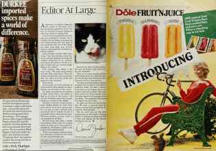 Better Homes & Gardens November 1984 Magazine Article: Page 4