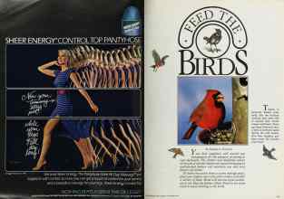 Better Homes & Gardens November 1984 Magazine Article: Page 40