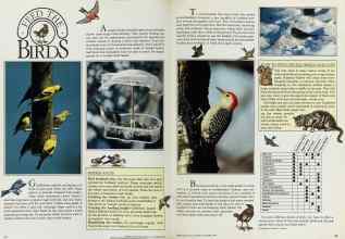 Better Homes & Gardens November 1984 Magazine Article: Page 42