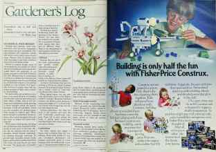 Better Homes & Gardens November 1984 Magazine Article: Page 102
