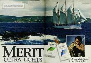 Better Homes & Gardens November 1984 Magazine Article: Page 204