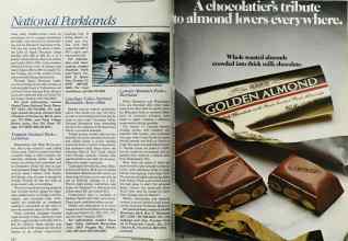 Better Homes & Gardens November 1984 Magazine Article: Page 224