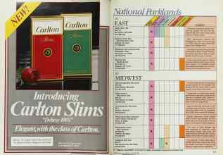 Better Homes & Gardens November 1984 Magazine Article: Page 226
