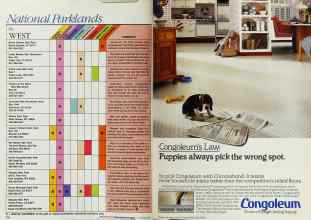 Better Homes & Gardens November 1984 Magazine Article: Page 228