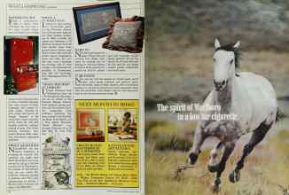 Better Homes & Gardens January 1985 Magazine Article: Page 14