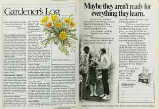 Better Homes & Gardens January 1985 Magazine Article: Page 118