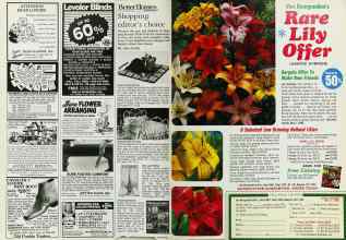 Better Homes & Gardens January 1985 Magazine Article: Page 120