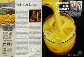 Better Homes & Gardens February 1985 Magazine Article: Page 6