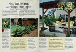 Better Homes & Gardens February 1985 Magazine Article: New Big-Bearing Miniature Fruit Trees
