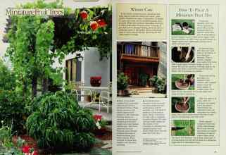 Better Homes & Gardens February 1985 Magazine Article: Page 40