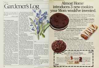 Better Homes & Gardens February 1985 Magazine Article: Page 48