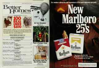 Better Homes & Gardens March 1985 Magazine Article: Page 6