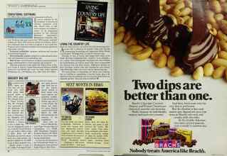 Better Homes & Gardens March 1985 Magazine Article: Page 20