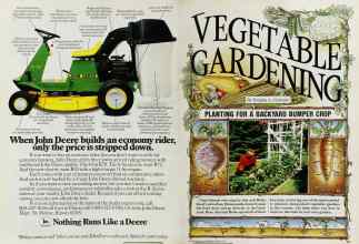 Better Homes & Gardens March 1985 Magazine Article: Page 32