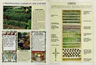 Better Homes & Gardens March 1985 Magazine Article: Page 36