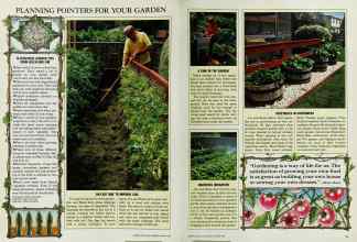 Better Homes & Gardens March 1985 Magazine Article: Page 38