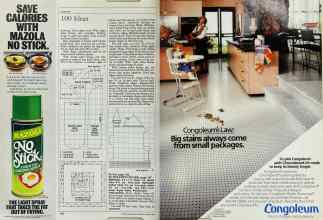 Better Homes & Gardens March 1985 Magazine Article: Page 160