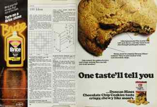 Better Homes & Gardens March 1985 Magazine Article: Page 166