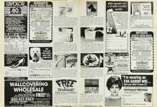 Better Homes & Gardens March 1985 Magazine Article: Page 210