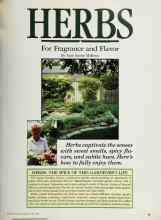 Better Homes & Gardens April 1985 Magazine Article: HERBS For Fragrance and Flavor