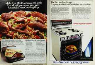 Better Homes & Gardens April 1985 Magazine Article: Page 16