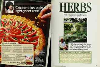 Better Homes & Gardens April 1985 Magazine Article: Page 36