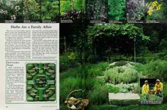 Better Homes & Gardens April 1985 Magazine Article: Page 38