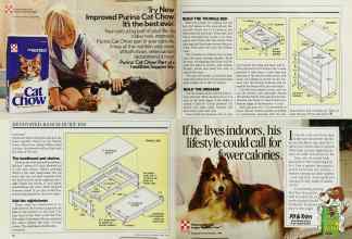 Better Homes & Gardens April 1985 Magazine Article: Page 52