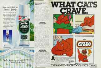 Better Homes & Gardens April 1985 Magazine Article: Page 142