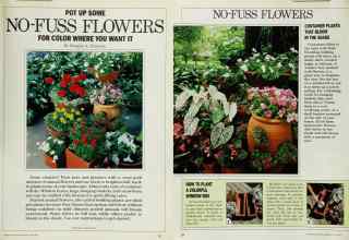 Better Homes & Gardens May 1985 Magazine Article: POT UP SOME NO-FUSS FLOWERS FOR COLOR WHERE YOU WANT IT
