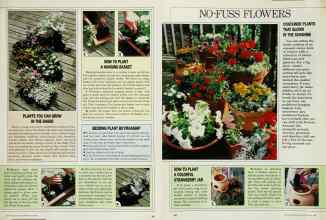 Better Homes & Gardens May 1985 Magazine Article: Page 39